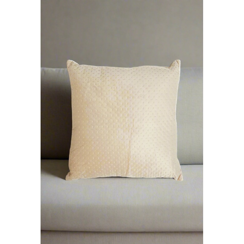 Beige Embroidered Pinsonic Cushion
