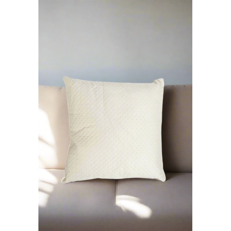 Ivory Embroidered Pinsonic Cushion