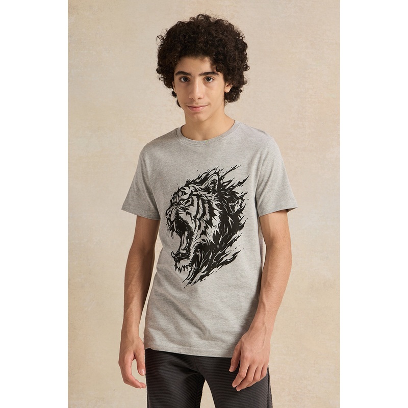 Senior Boys Grey Tiger Roaring Graphic T-Shirt