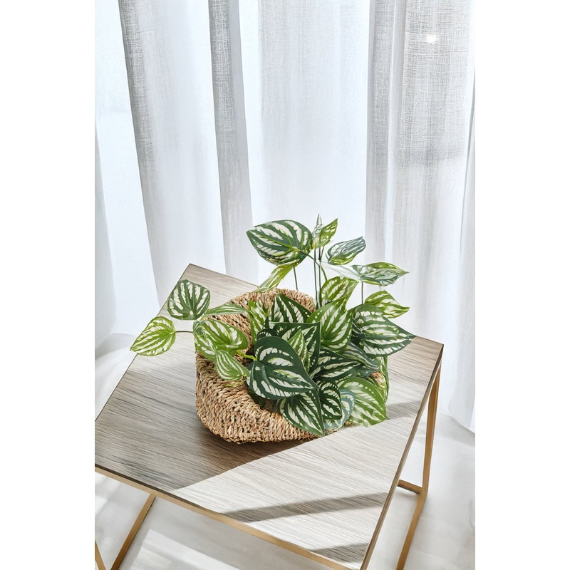 Artificial Succulent In Woven Pot
