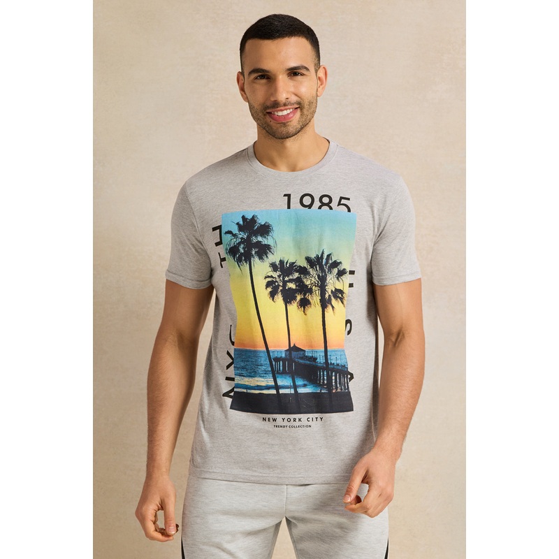 Men Grey Graphic T-Shirt|Small|Medium|Large|X-Large|XX-Large
