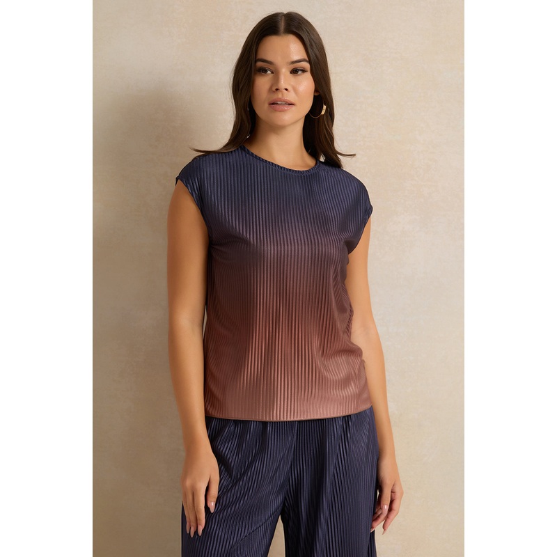 Women Multicolour Plisse Embellished Top