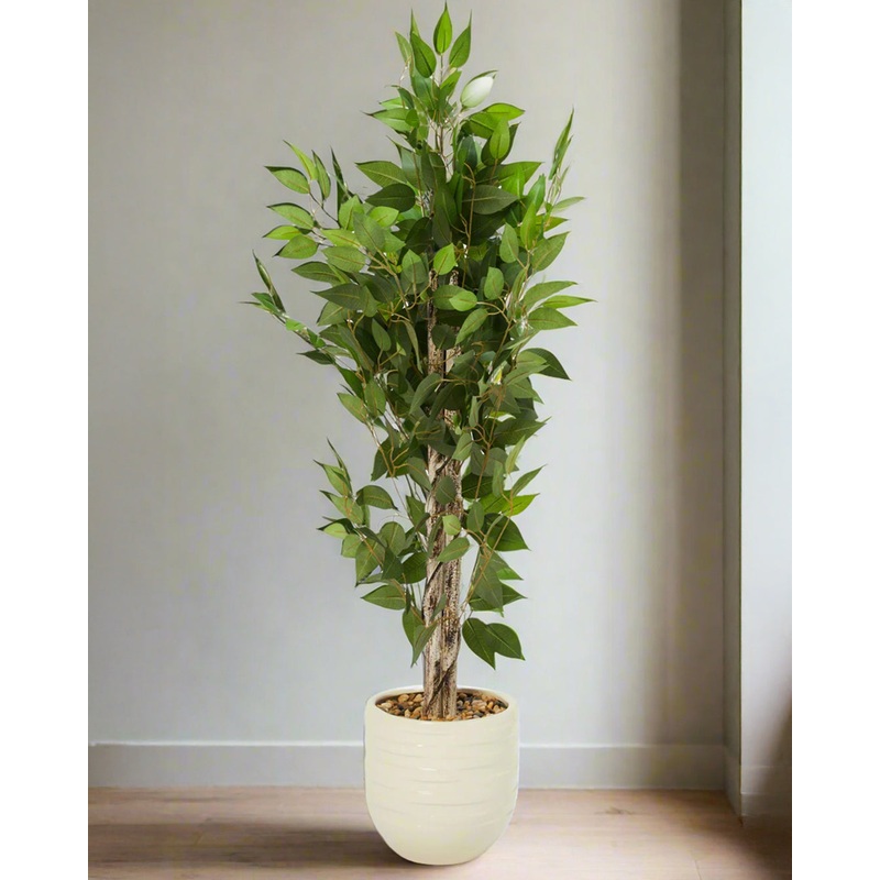 Green Artificial Ficus Tree In Cerami