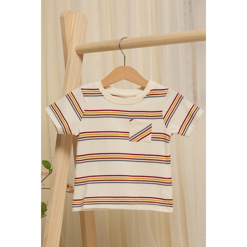 Infant Boys Beige Striped T-shirt