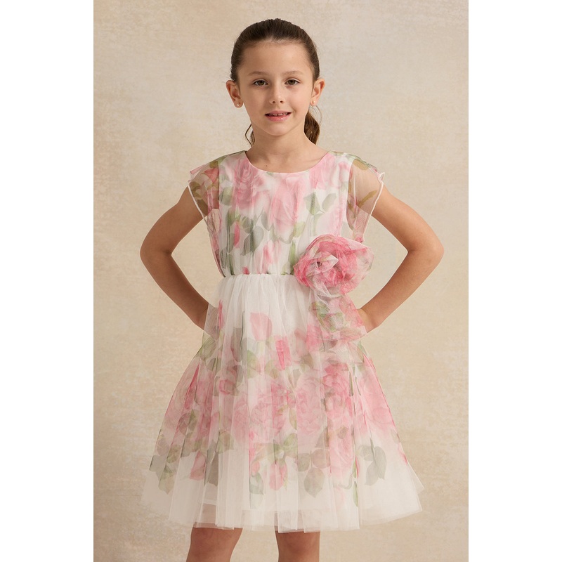 Girls White And Pink Rose Print Mesh Dress