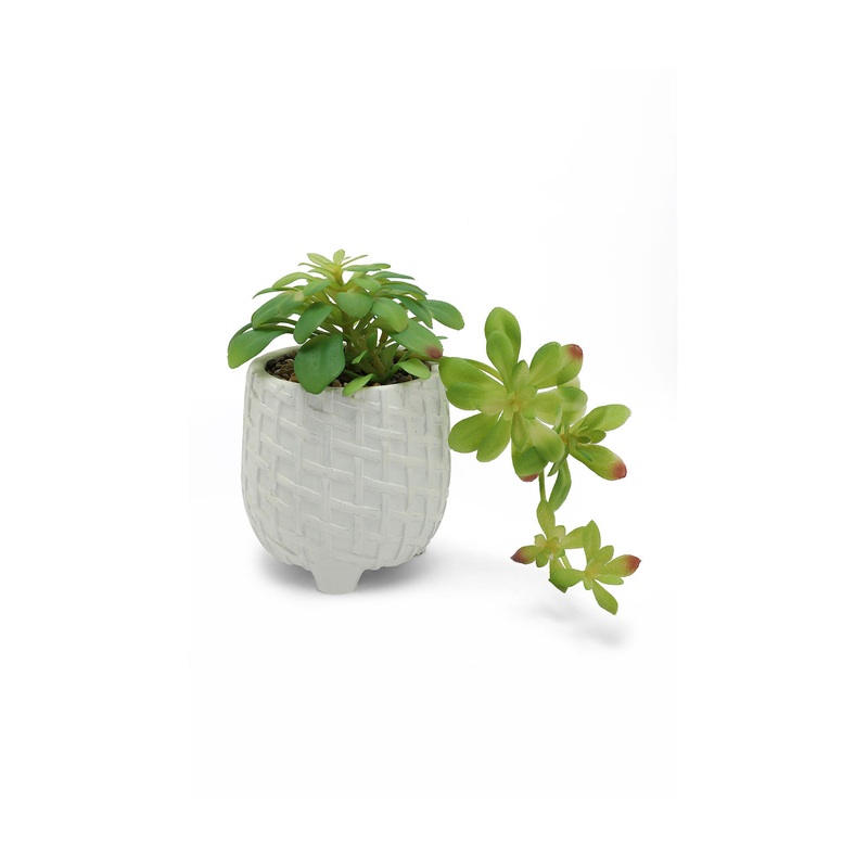 Green Artificial Succulent Creeper In Ceramic Pot