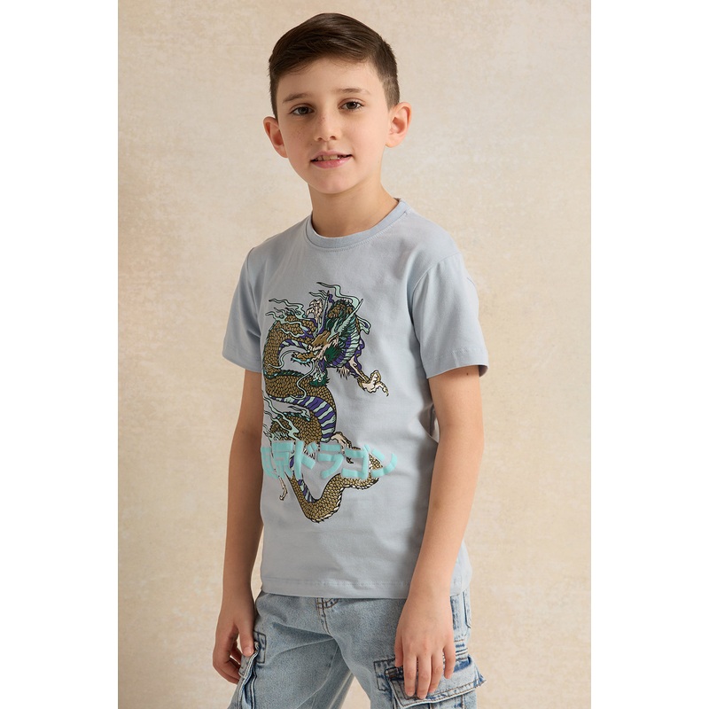 Boys Blue Print Round Neck T-Shirt