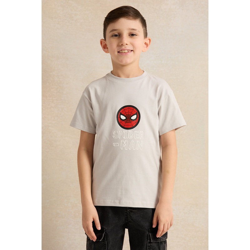 Boys Grey Spider Man Print T-Shirt