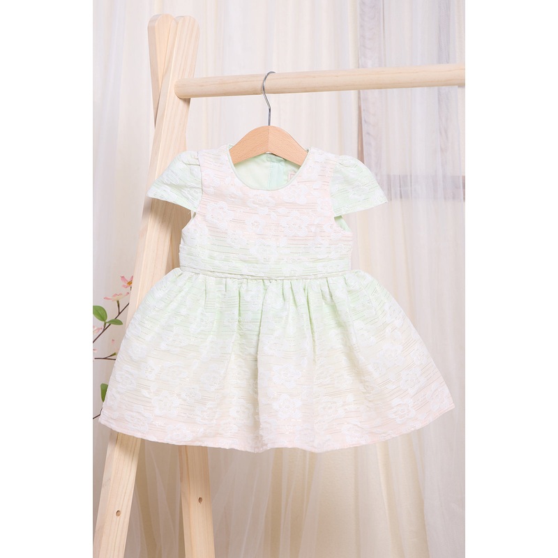 Infant Girls Green And Pink Jacquard Dress