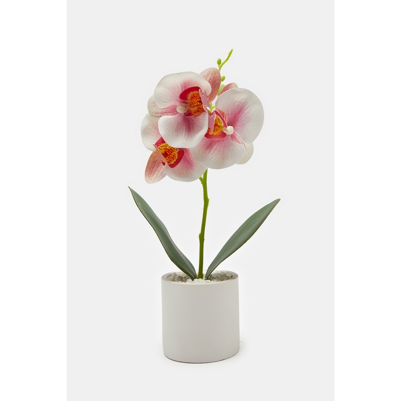 Pink Artificial Orchids In Cement Pot