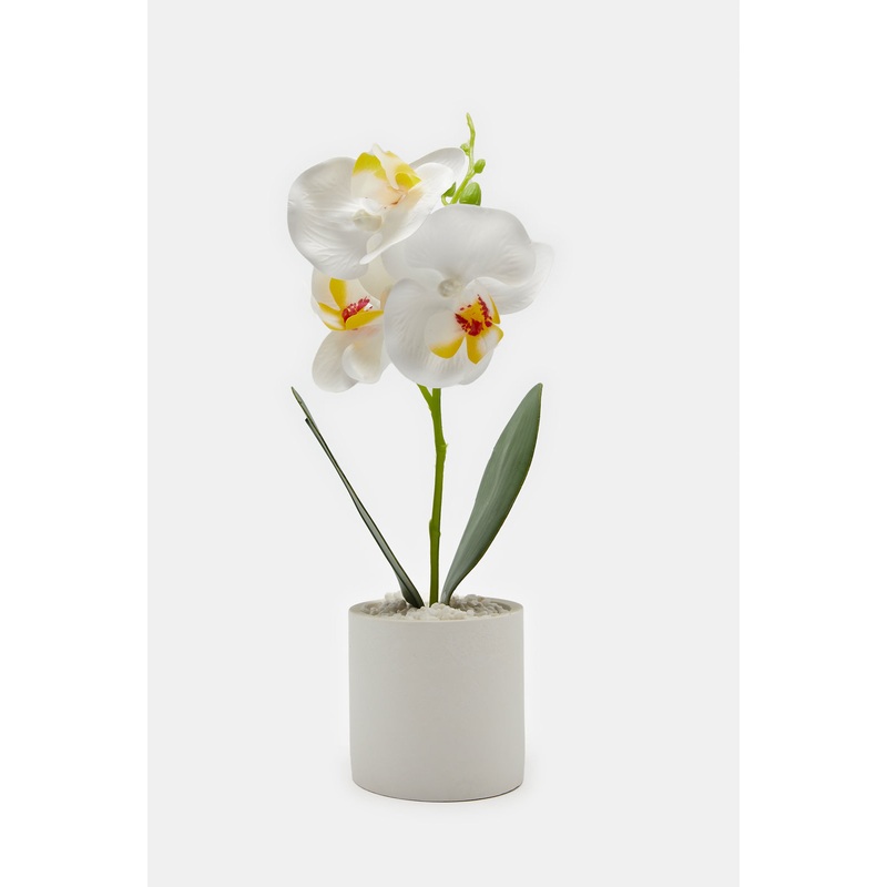White Artificial Orchids In Cement Pot