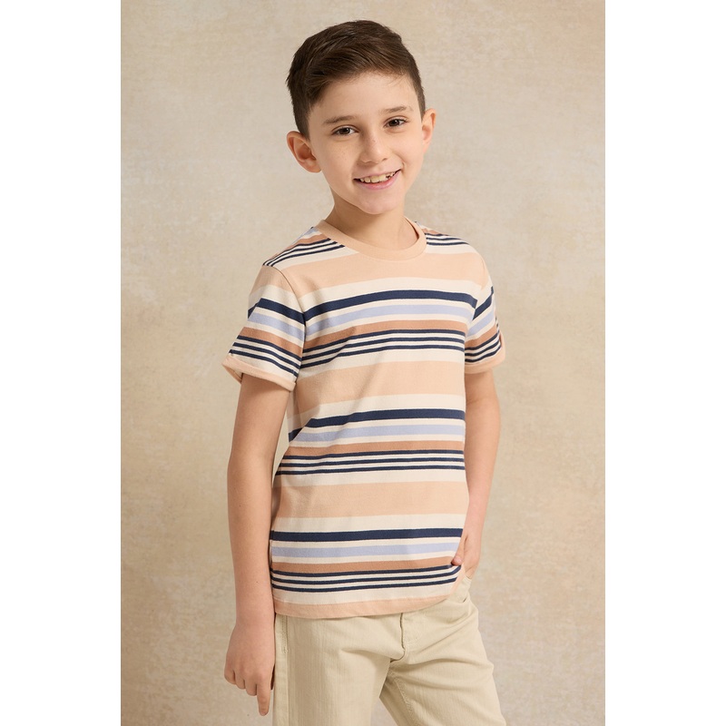 Boys Multicolour Striped T-Shirt