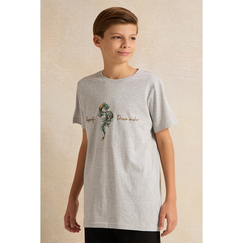 Senior Boys Grey Dragon Embellished T-Shirt