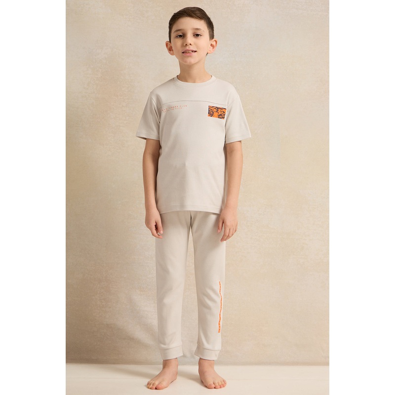Boys Grey Cut And Sew Pyjama Set (2 Piece)