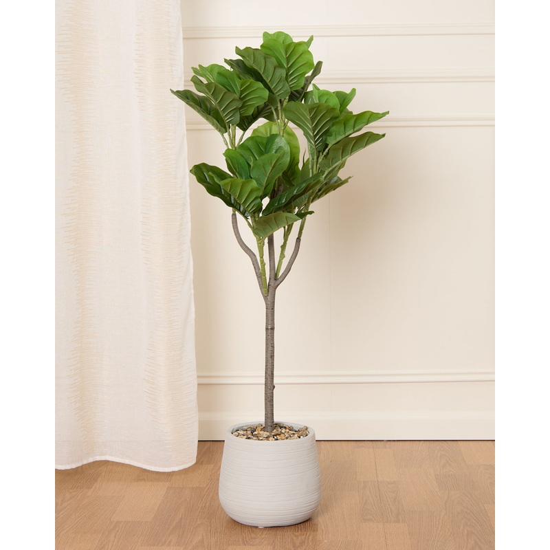 Fiddle Leaf Ficus With Planter