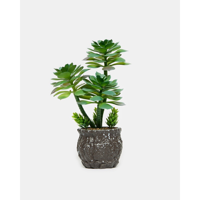 Green Artificial Succulent