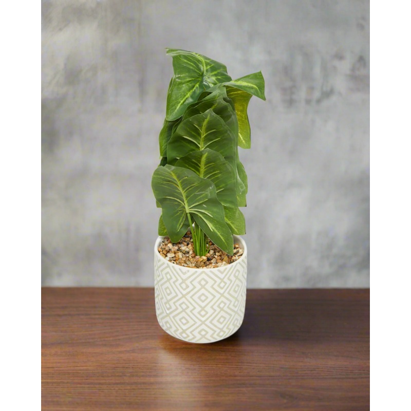 Green Artificial Arrowhead Plant  In Ceramic Pot