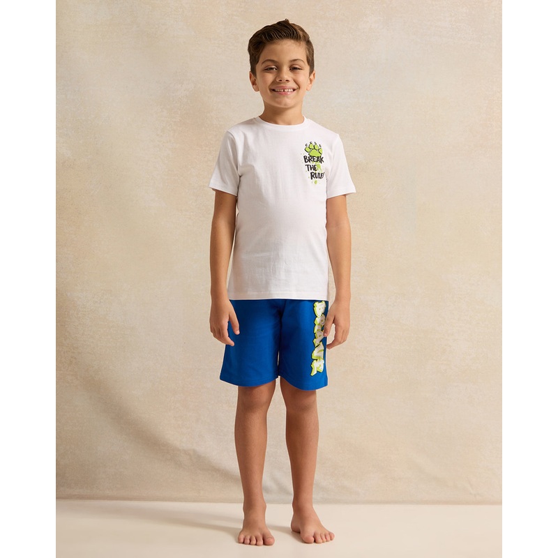 Boys Blue And White T-Shirt With Shorts Set (2 Piece)