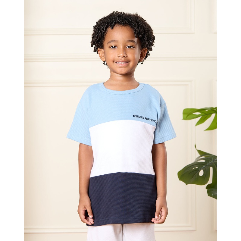 Boys Multicolour Cut & Sew T-Shirt