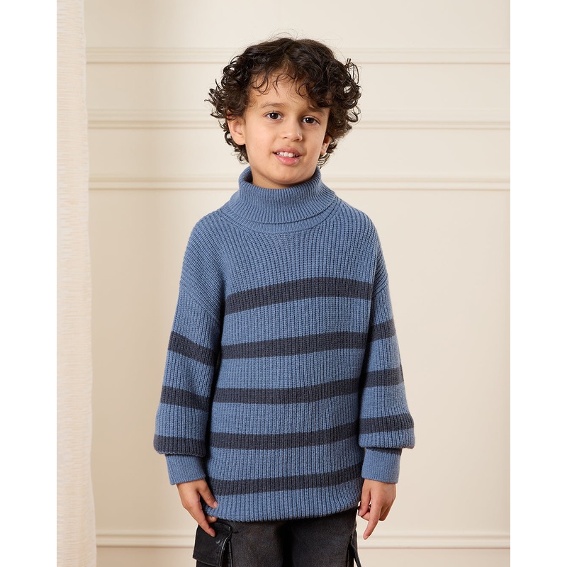 Boys Blue Striped Roll Neck Jumper