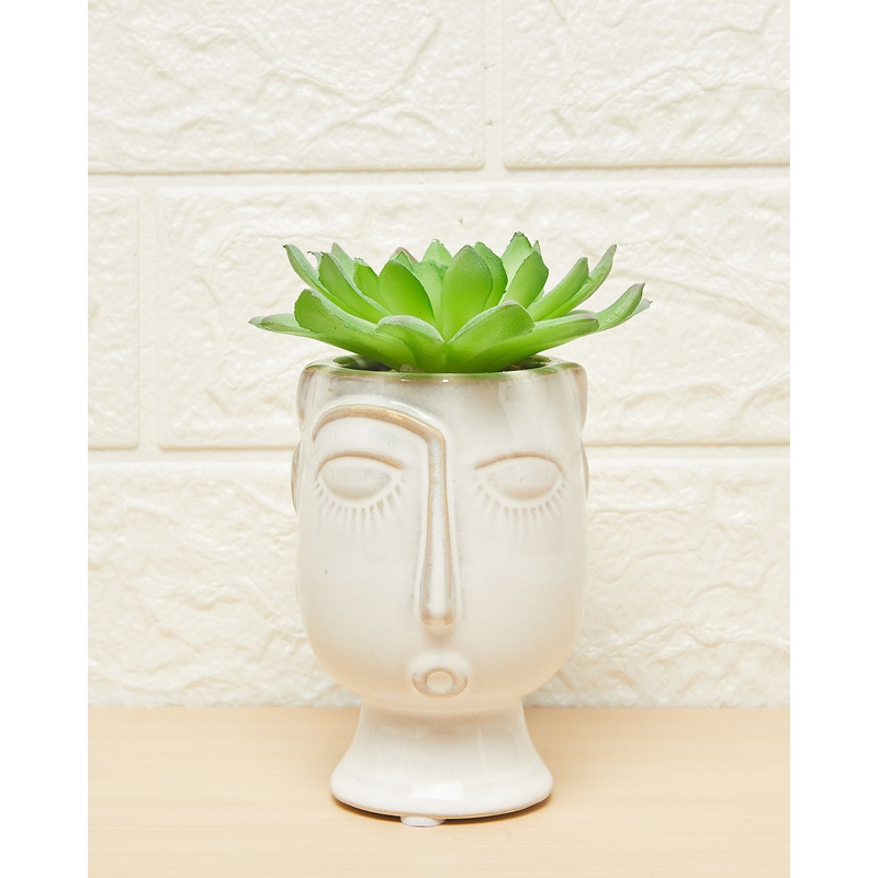 Green Echeveria In Cream Face Planter