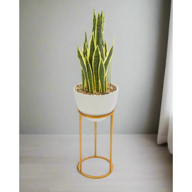 Green Artificial Tiger Plant In Magnesium White Pot With Metal Base