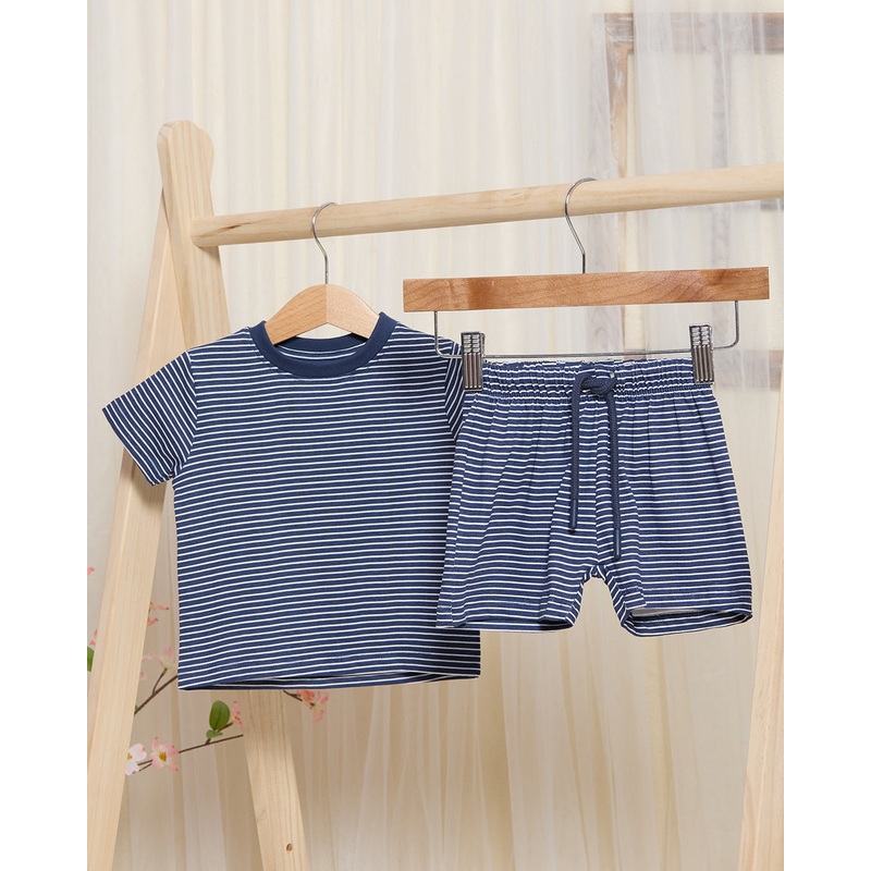 Infant Boys Navy Striped Set (2 Piece)