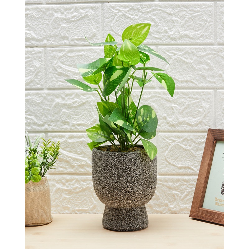 Artificial Plants In Face Pot