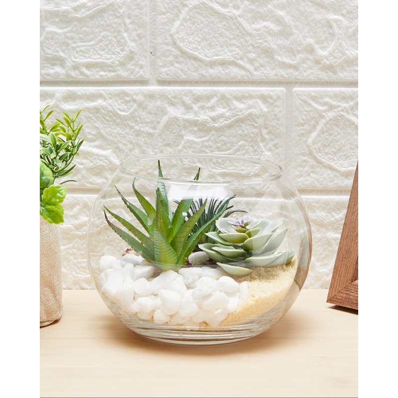 Succulent Arrangement In Glass Bowl
