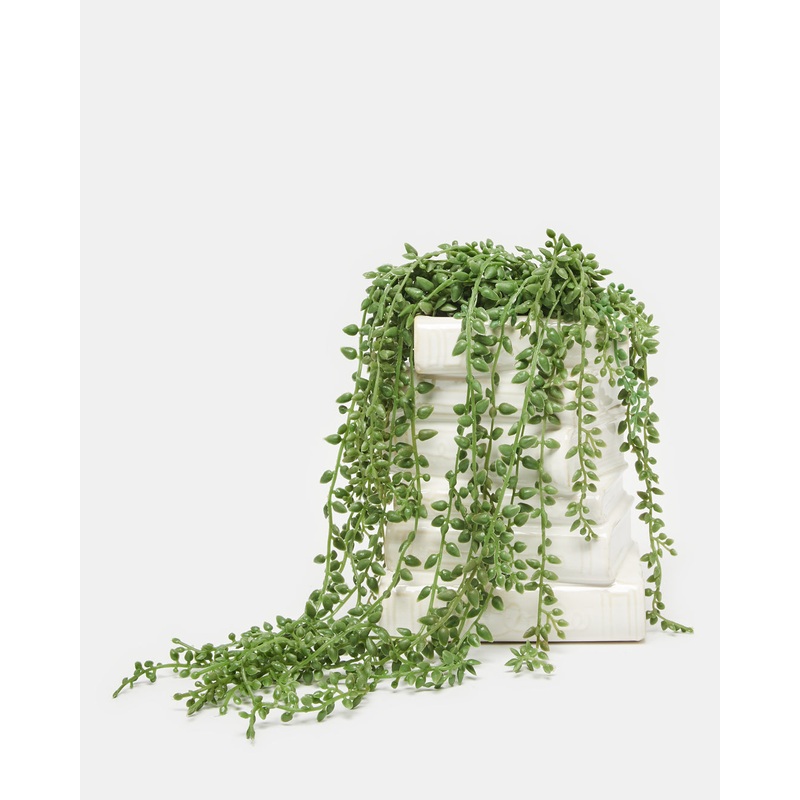 Green String Of Pearls In Book Stack Planter