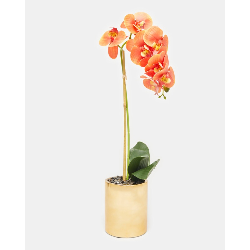 Orange Orchid With Gold Planter