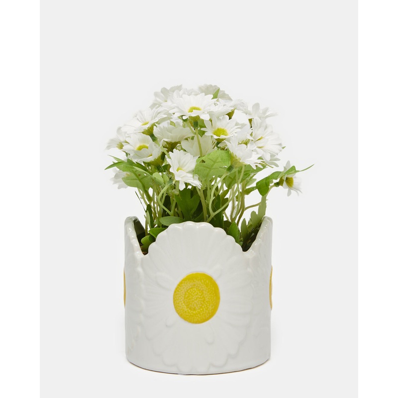 White Daisy Arrangement In Ceramic Pot
