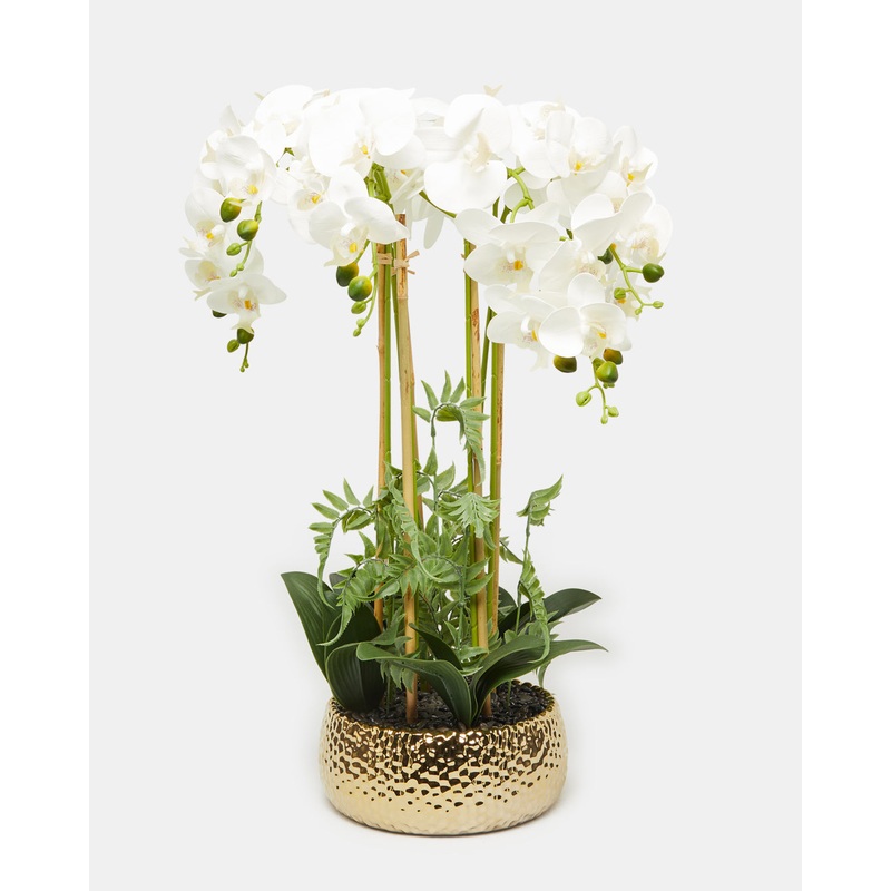 White Orchid With Gold Planter