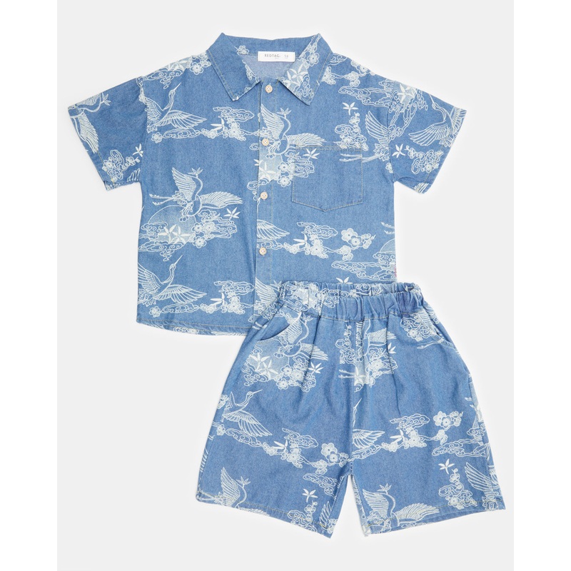 Boys Blue Printed Casual Set(2 Piece)