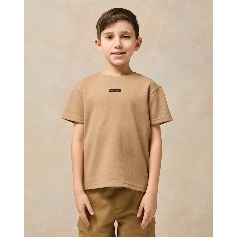 Boys Brown Embroidered T-Shirt