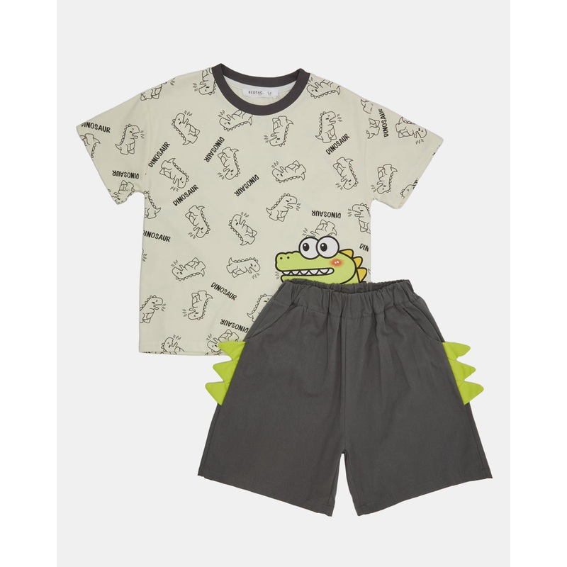 Boys Grey Dino Printed Casual Set (2 Piece)