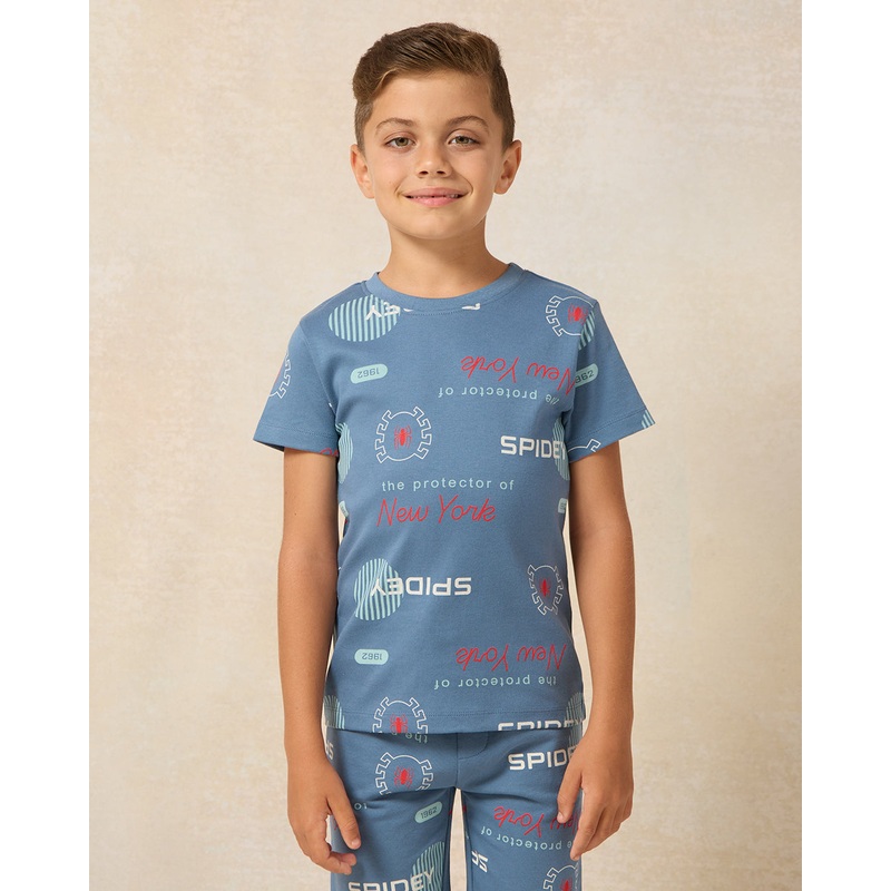 Boys Blue Spiderman Printed T-Shirt