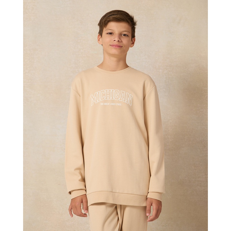 Senior Boys Beige Crew Neck Sweatshirt