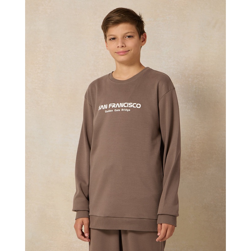 Senior Boys Brown Crew Neck Sweatshirt