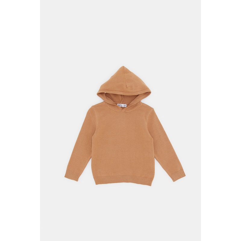 Infant Boys Brown Hooded Jogging Suit (2 Piece)