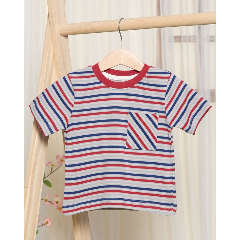 Infant Boys Red And Blue Striped T-Shirt
