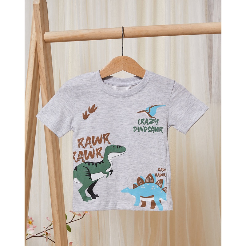 Infant Boys Grey Dino Print T-Shirt