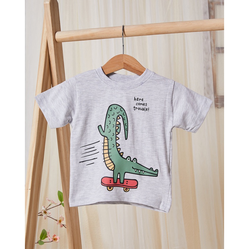 Infant Boys Grey Printed T-Shirt