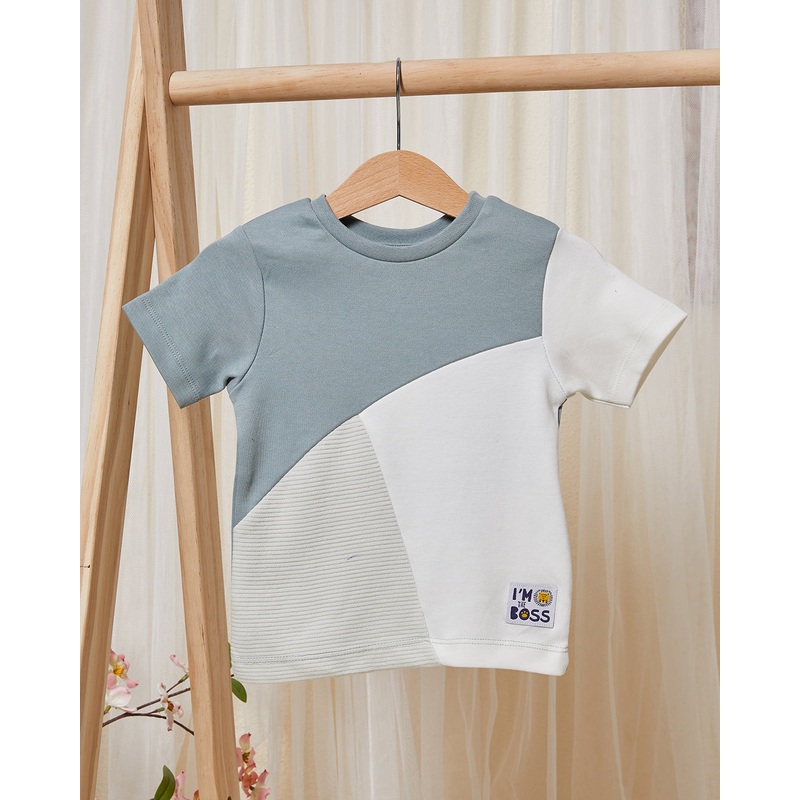 Infant Boys Multicolour Cut And Sew T-Shirt