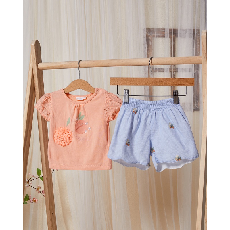 Infant Girls Peach And Blue Casual Set (2 Piece)
