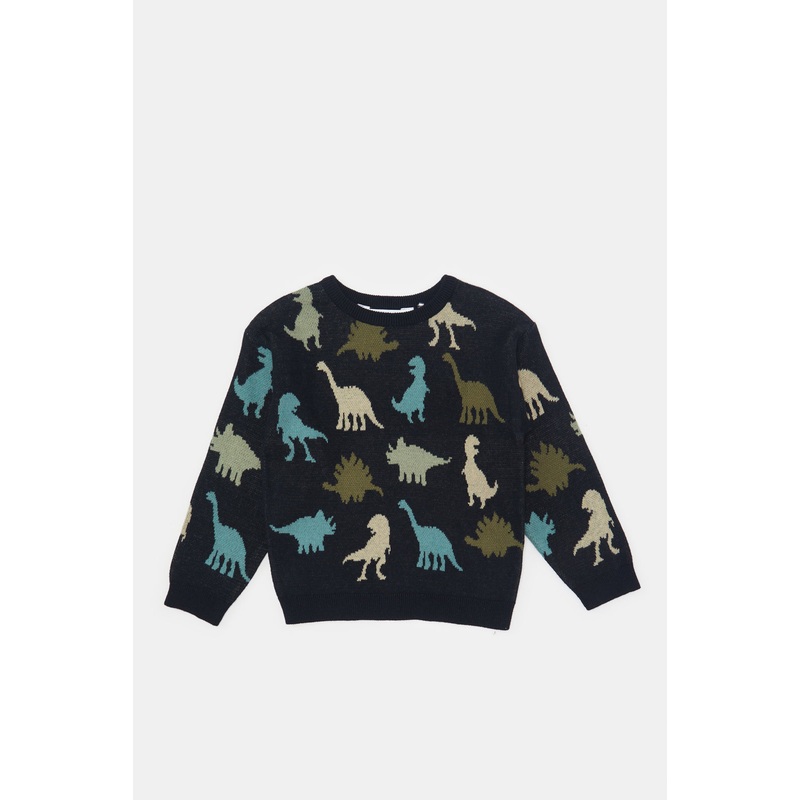 Infant Boys Black Dino Printed Pullover