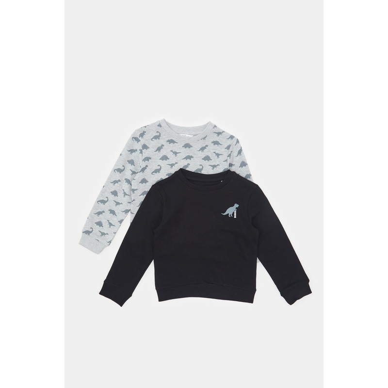 Infant Boys Grey And Black Dino Printed Sweatshirt Set (2 Piece)