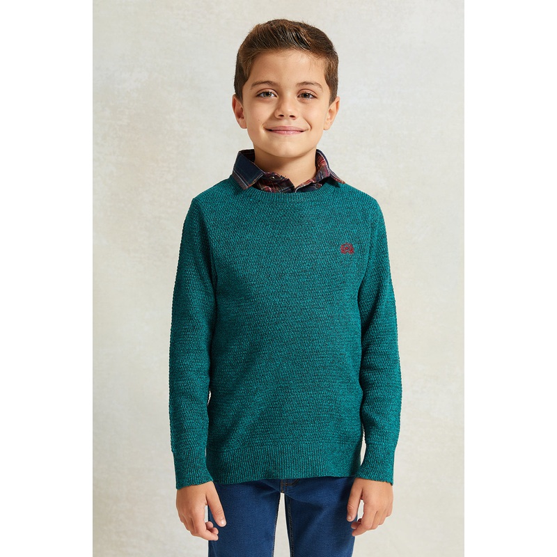 Boys Green Solid Hooded Sweater