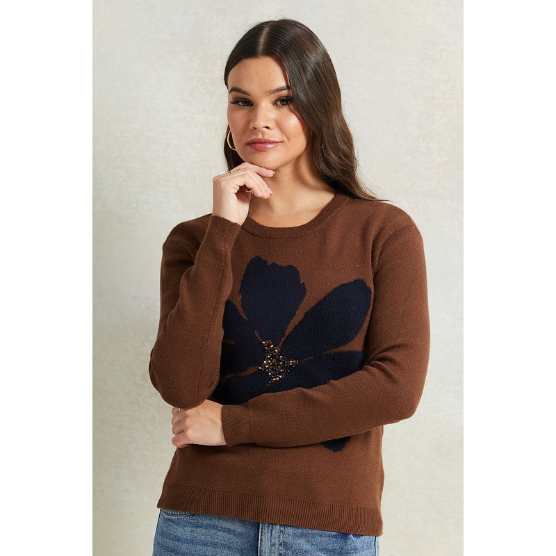 Women Brown Embellished Sweatshirt