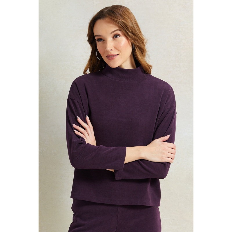Women Purple Knitted High Neck Sweater